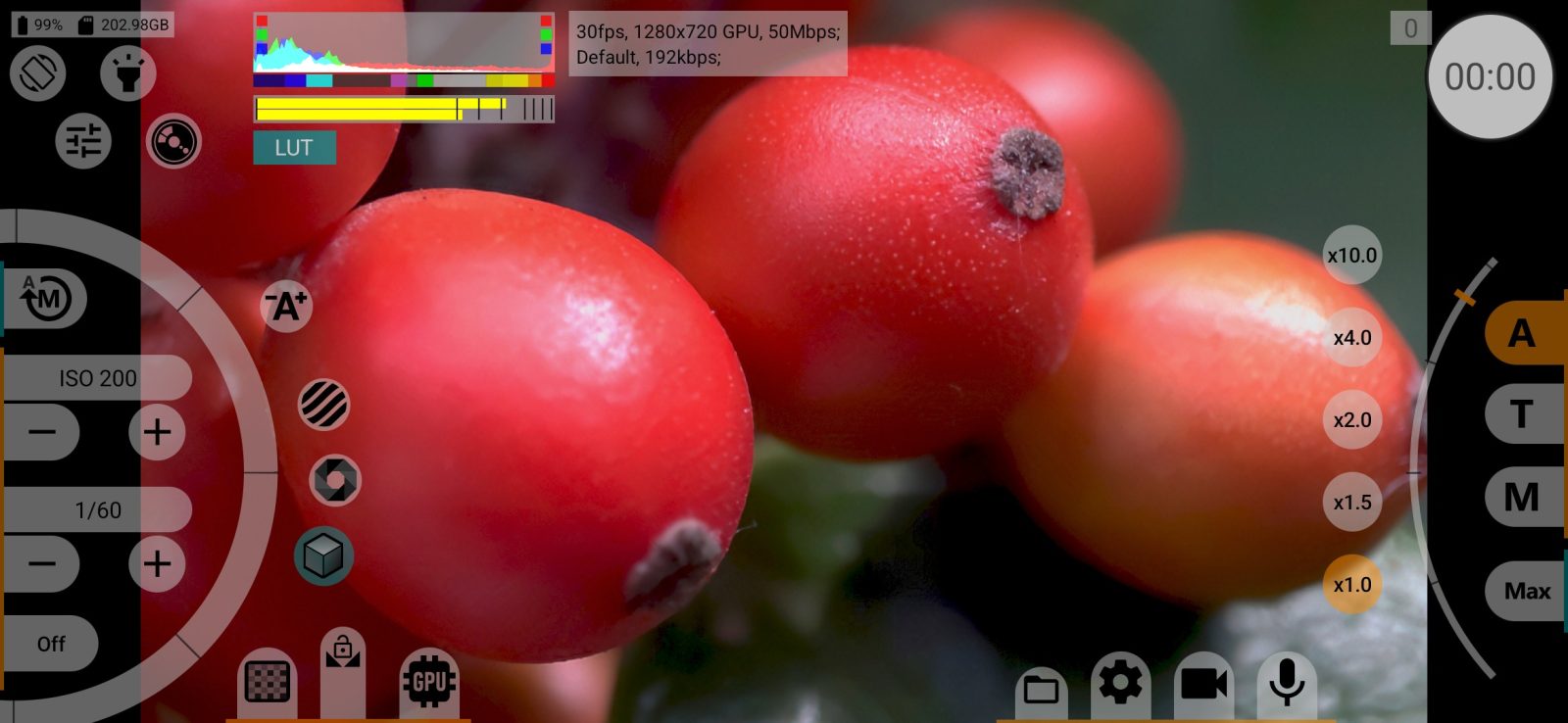 Gamma 2.4