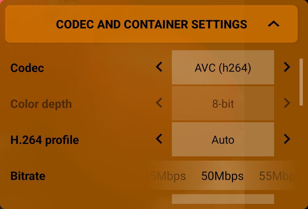 Codec and container settings