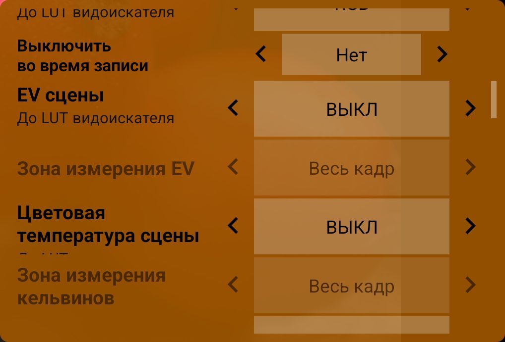 Выключить во время записи