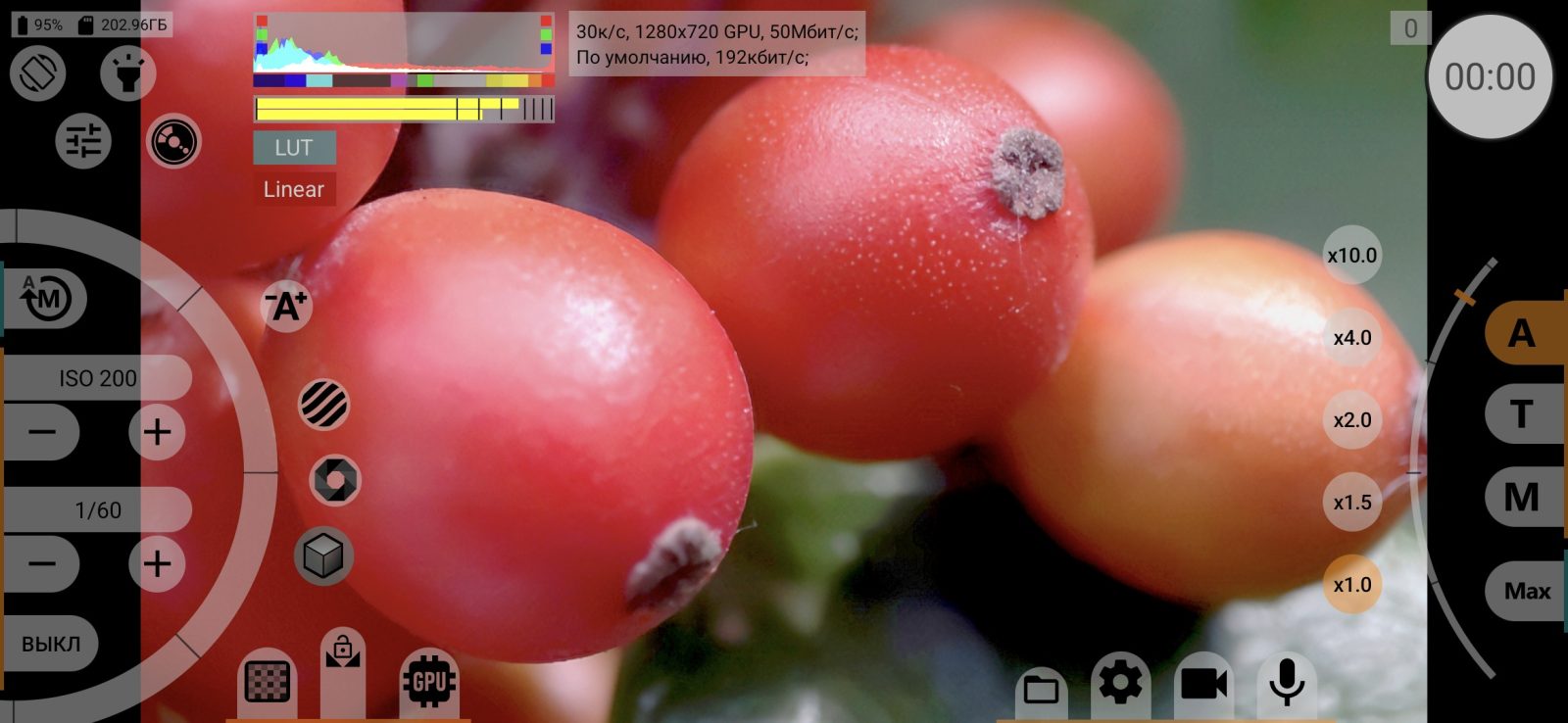 Linear sRGB