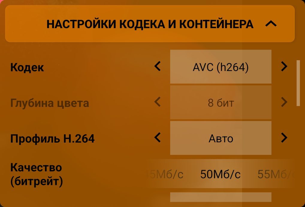 Настройки кодека и контейнера